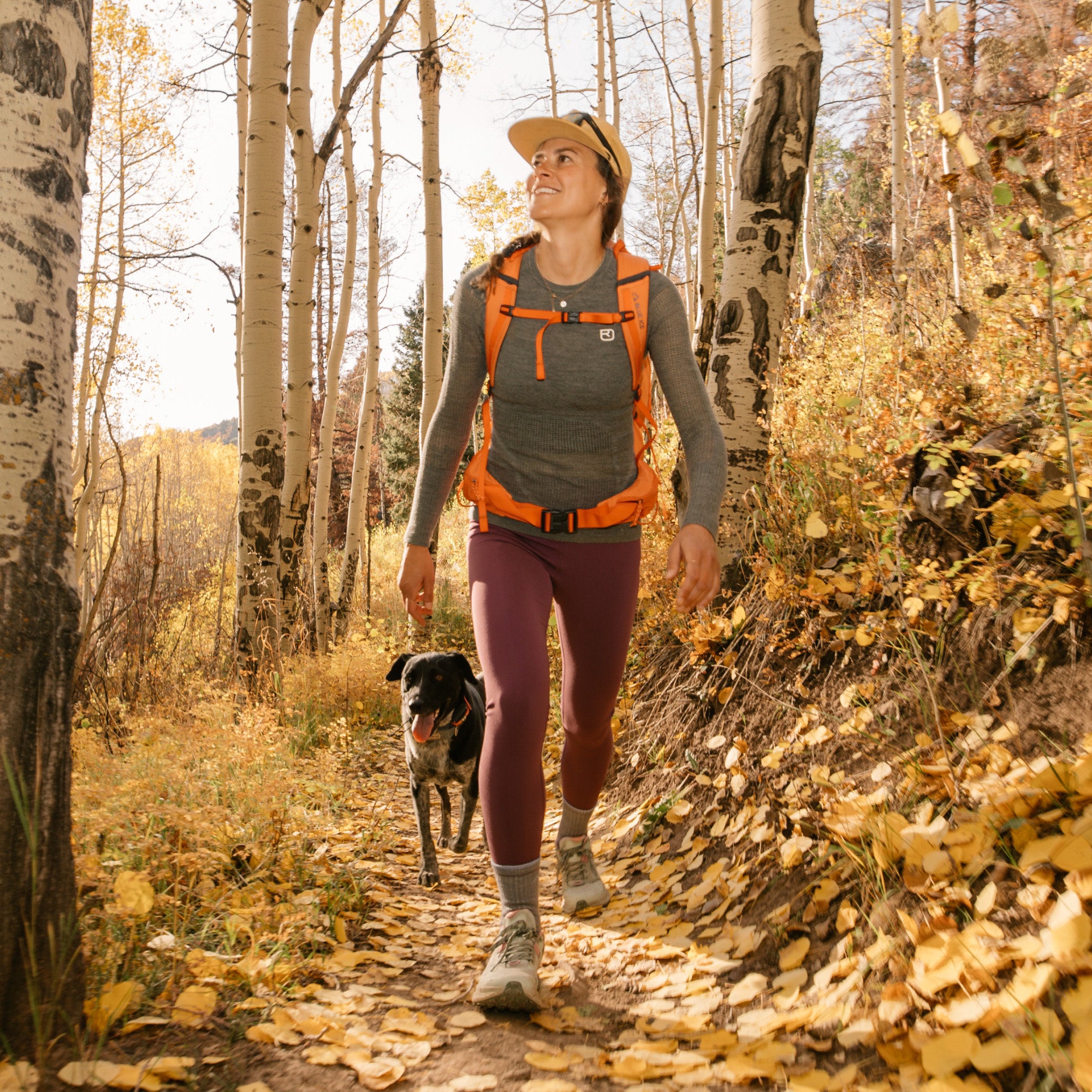 Women's Hiker Micro Crew Midweight Hiking Socks - Image 8