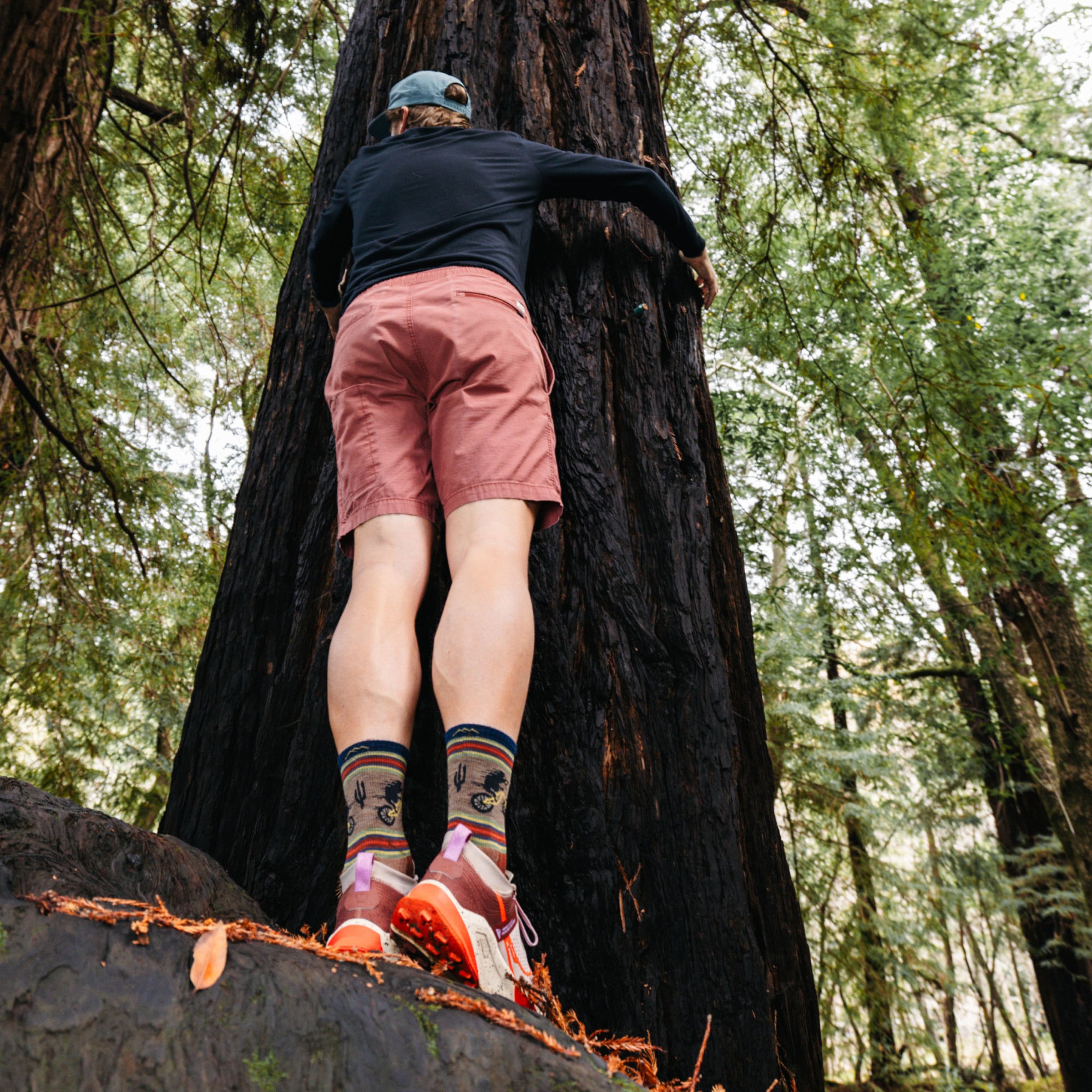 Men's Willoughby Micro Crew Lightweight Hiking Socks - Image 13